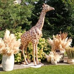 Декоративный жираф