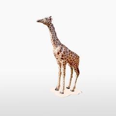 Декоративный жираф