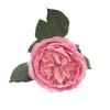 Цветок Роза розовая на ножке