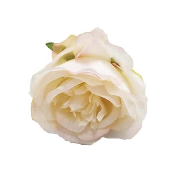 Цветок Роза кремовая