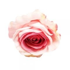 Цветок Роза бежево-розовая
