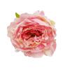 Цветок Пион светло розовый