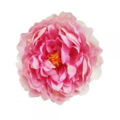 Цветок Пион розовый с желтой серцевиной