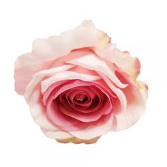 Цветок Роза кремово-розовая