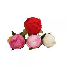 Цветок Пион малый в ассортименте (разные цвета)