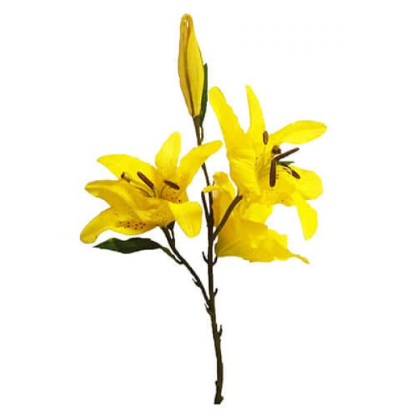 Цветок Лилия желтая