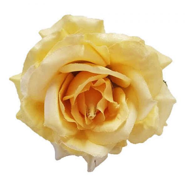 Цветок Роза бело-желтая