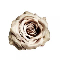 Цветок Роза бронзовая