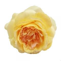 Цветок Роза лимонная