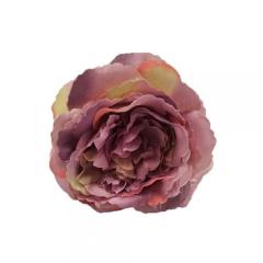 Цветок Роза пионовидная сиренево-желтая