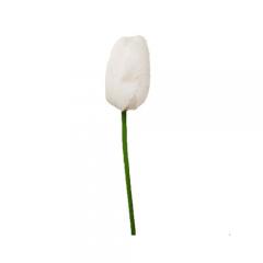 Цветок Тюльпан белый 