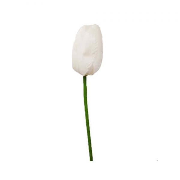 Цветок Тюльпан белый 