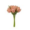 Цветок Тюльпан персиковый