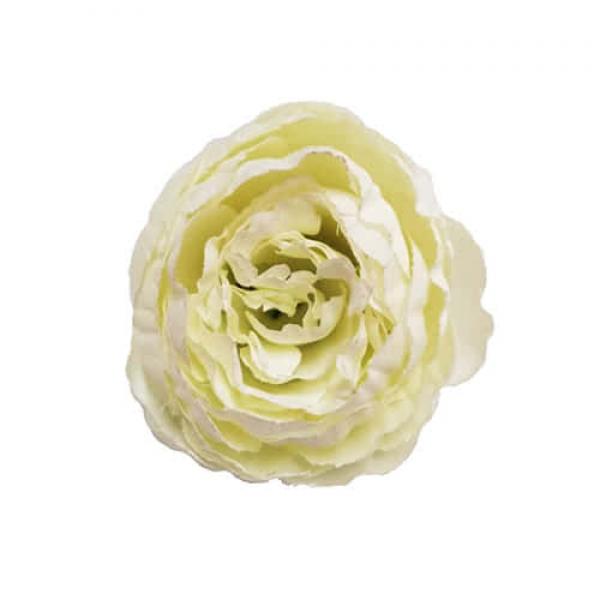 Цветок Роза пионовидная белая