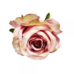 Цветок Роза кремово-розовая