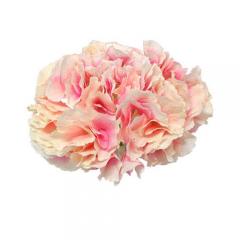 Цветок Гортензия нежно-розовая
