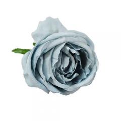 Цветок Роза пыльно-голубая