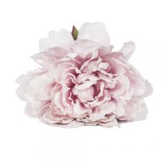 Цветок Пион розовый