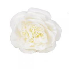 Цветок Пион белый