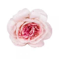 Цветок Пион нежно розовый