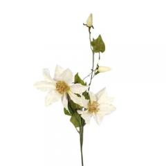 Цветок Клематис белый  