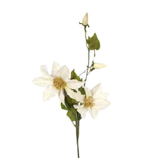 Цветок Клематис белый  