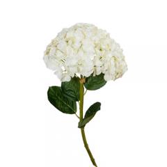 Цветок Гортензия белая на ветке малая