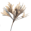 Цветок Платицриум