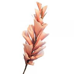 Цветок персиковый на ветке