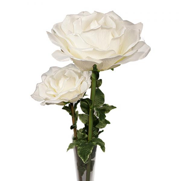 Цветок Роза белая малая
